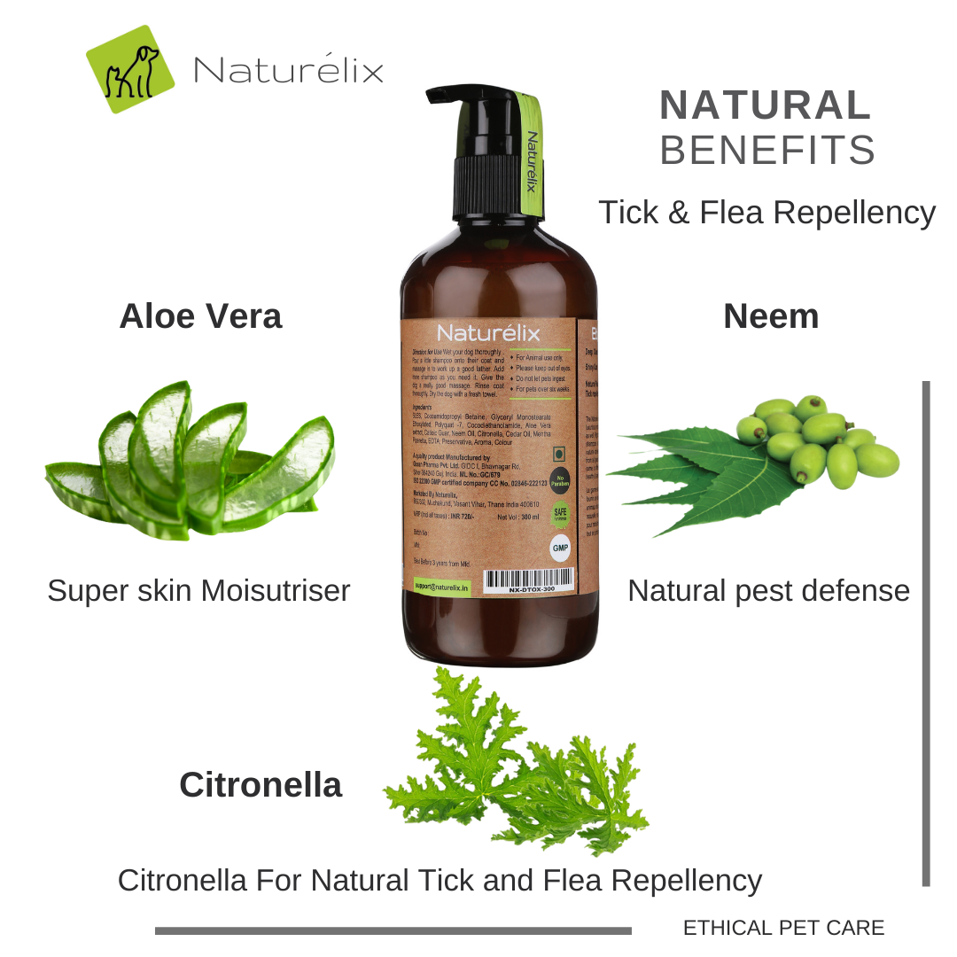 Dog shampoo showing ingredients of dog shampoo like Aloe Vera-Neem for skin issues