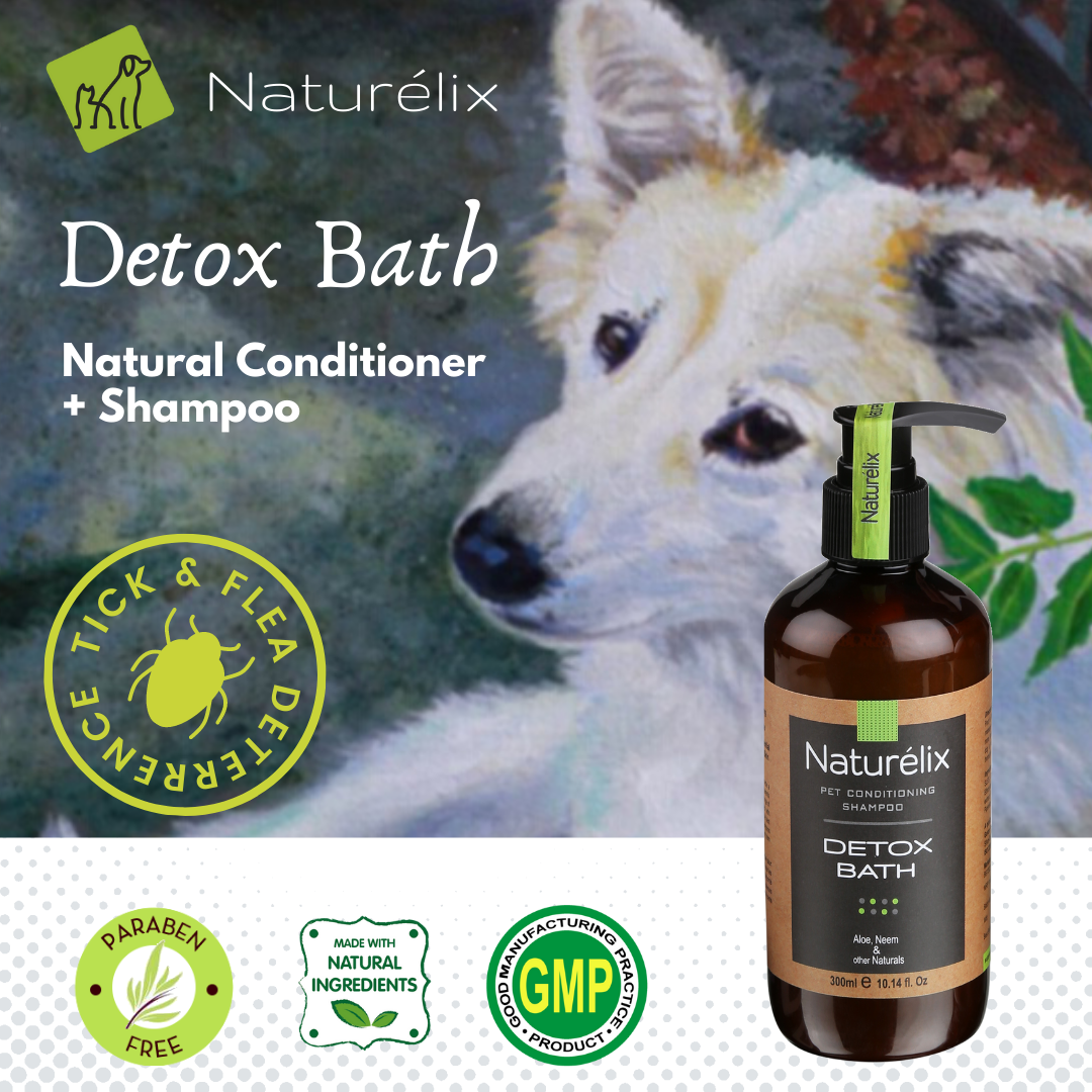 dog shampoo for skin issues hair control dog shampoo