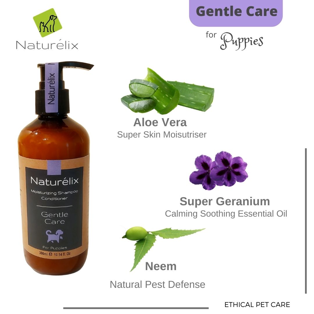 dog shampoo for dogs below 60 days