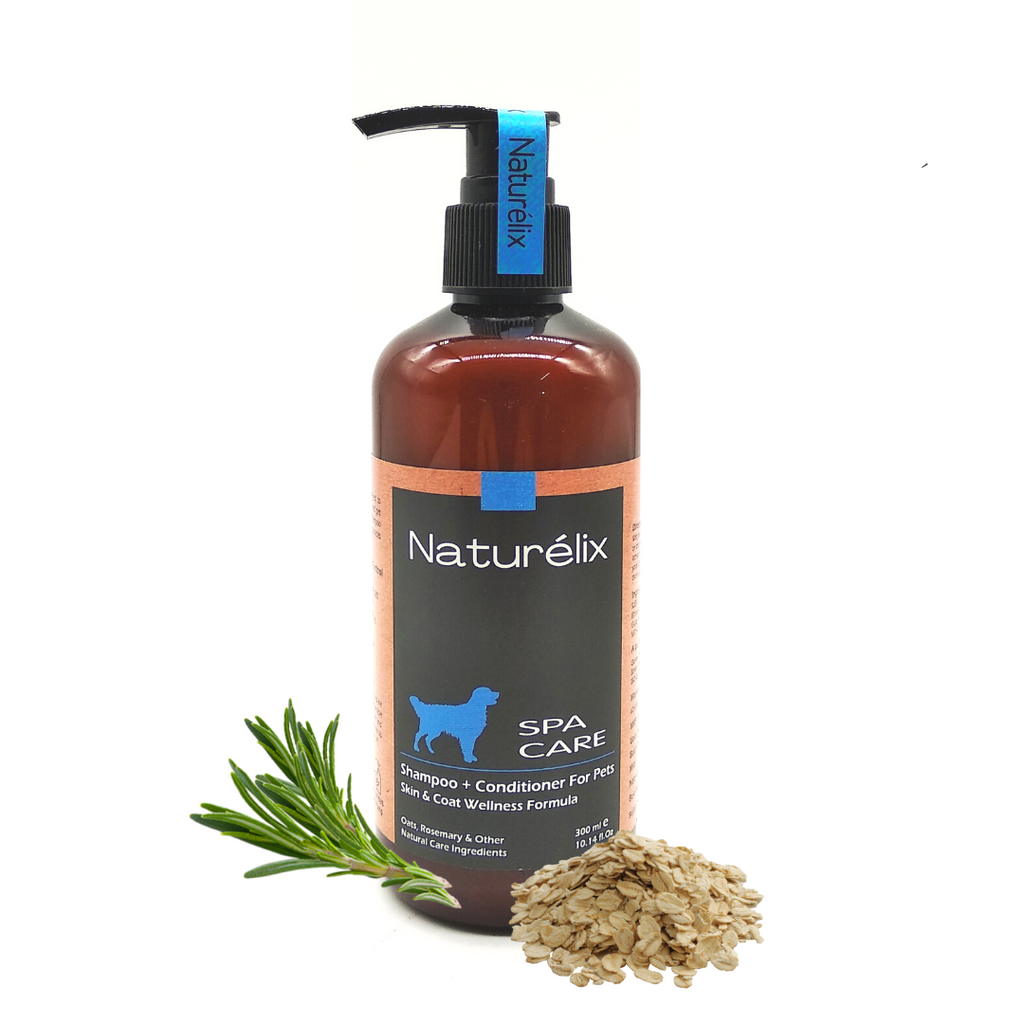 Dog alopecia best sale shampoo