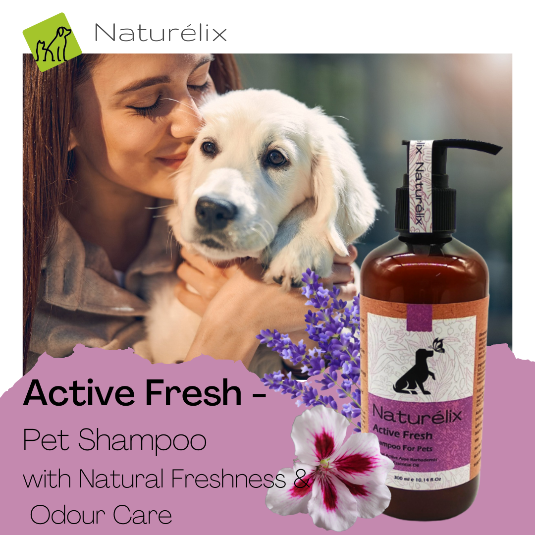 Naturelix Active Fresh Dog Shampoo-Hair Shed Control Shampoo for Dogs