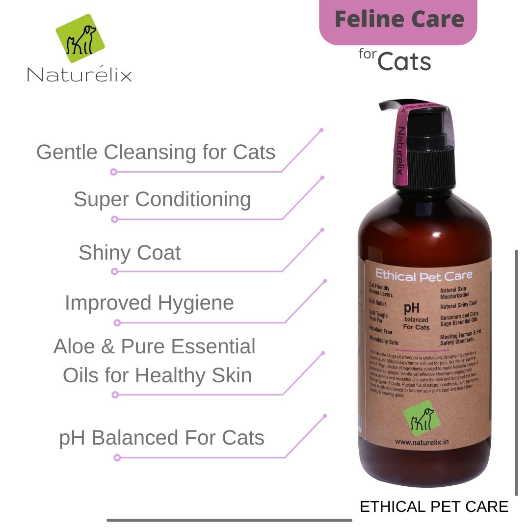 shampoo for persian cat online in india used at dog spa