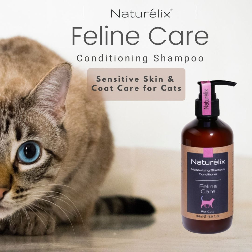 Picture showing a Cat sitting next to a Natural Cat Shampoo 