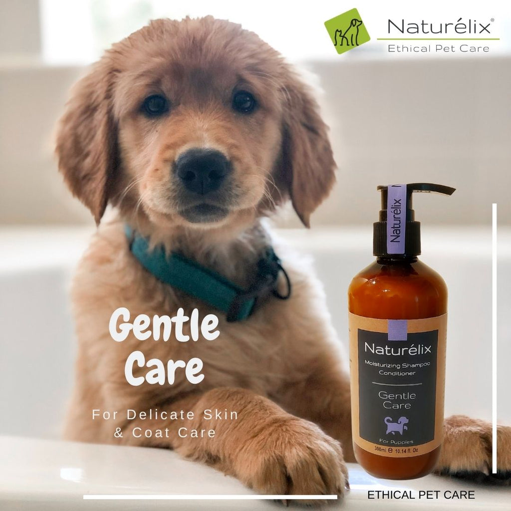 Safe Puppy Dog shampoo for dogs below 60 days