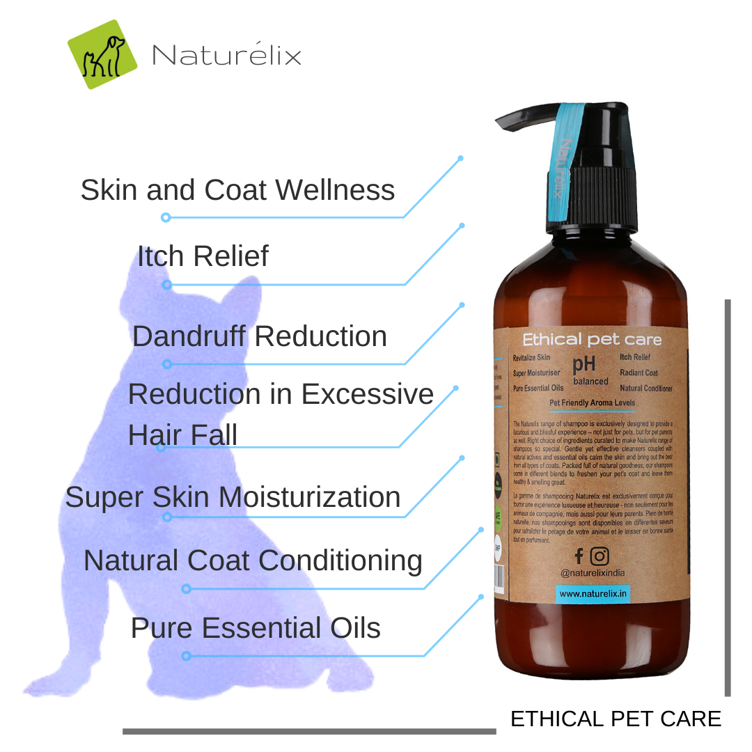 Itch relief shampoo for dogs with essential oils 