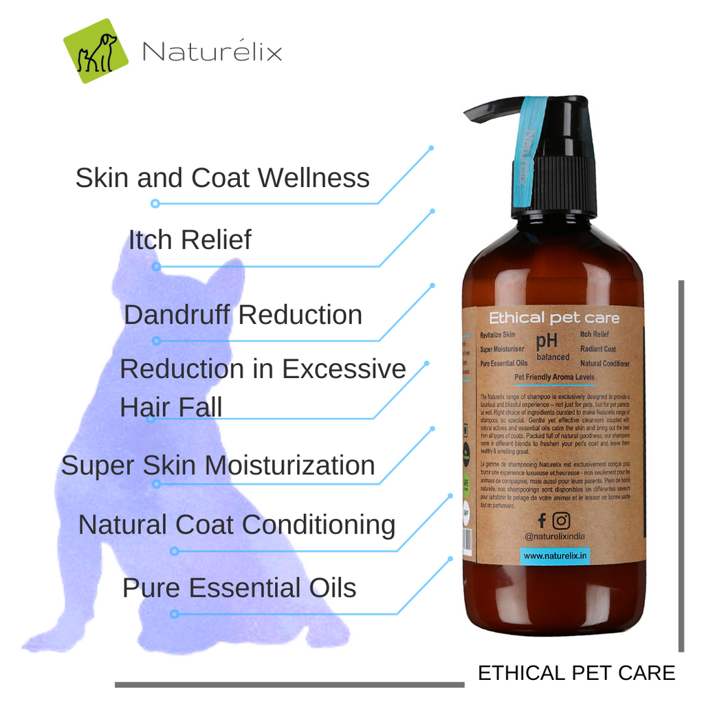 Itch relief shampoo for dogs with essential oils 