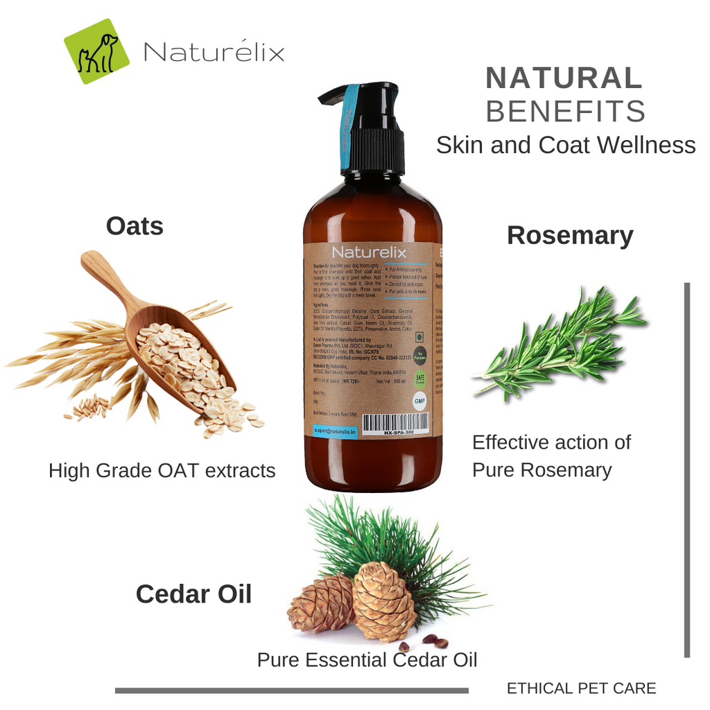 Dog Shampoo with essential oils like Rosemary-Cedar Oil for skin problems in dogs