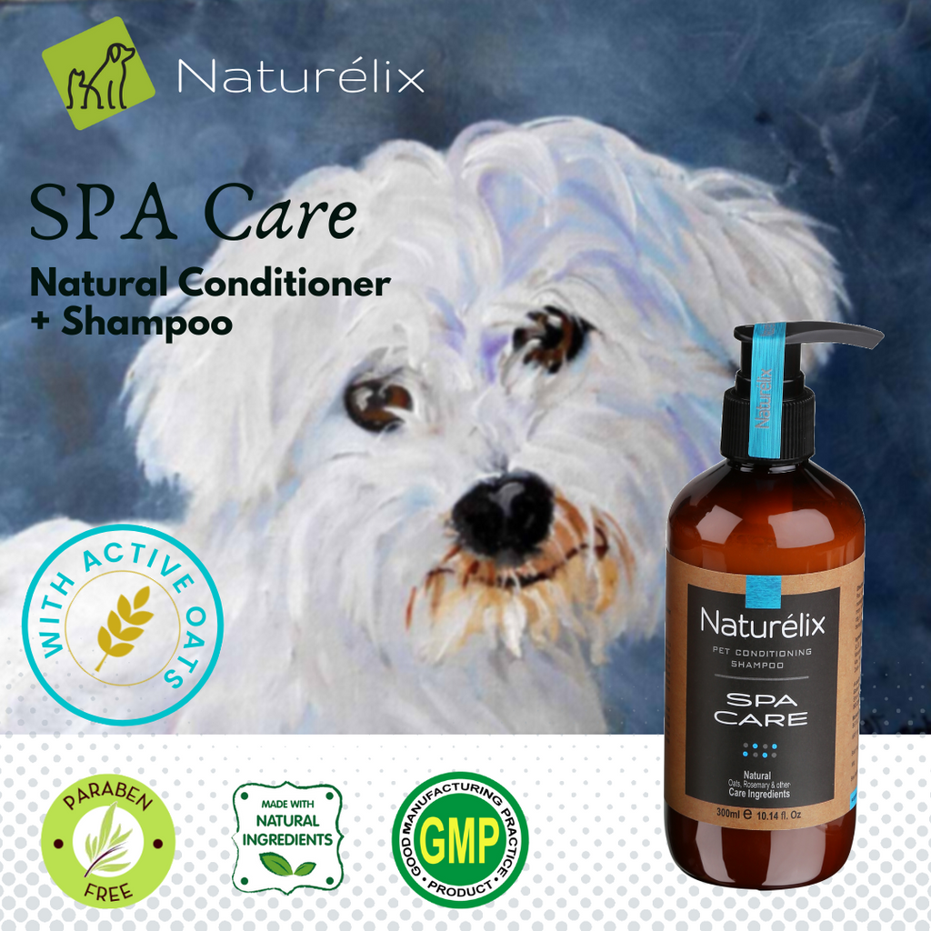 portrait of dog showing a Oats based Dog Shampoo for soft skin